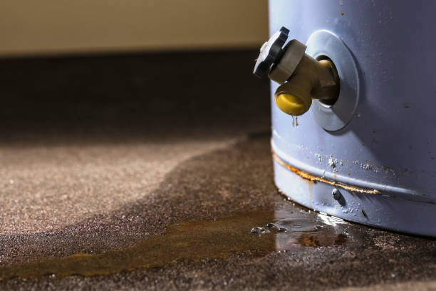 Best Local water damage restoration  in Cherry Valley, IL