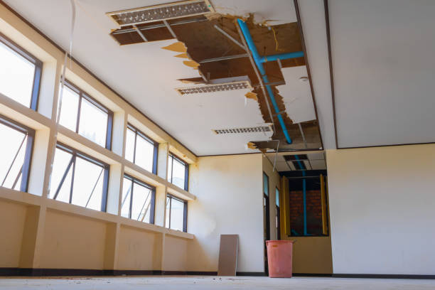 Best 24/7 water damage repair  in Cherry Valley, IL