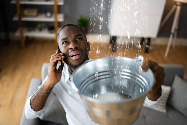 Best Mold removal after water damage  in Cherry Valley, IL