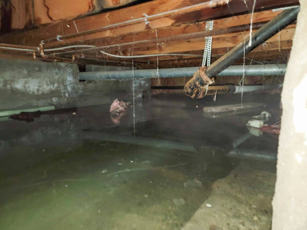 Best 24-hour water damage restoration  in Cherry Valley, IL