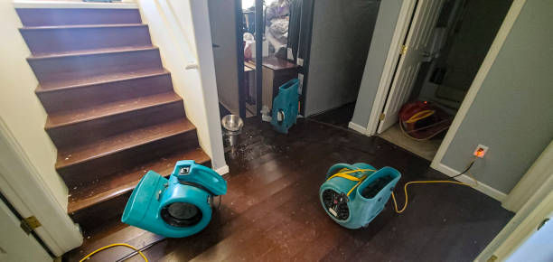 Best Water damage restoration services  in Cherry Valley, IL