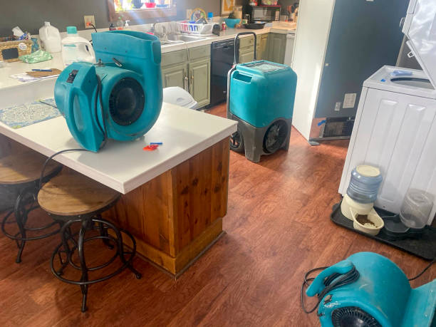 Best Water damage restoration company  in Cherry Valley, IL