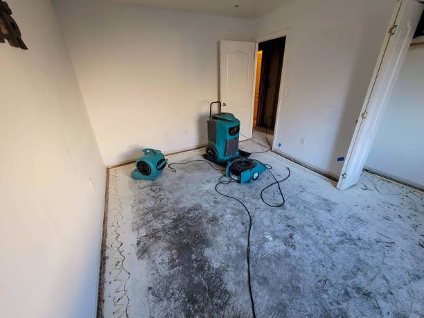 Best Water damage restoration mold remediation  in Cherry Valley, IL