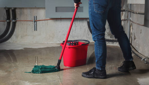 Best Flood restoration services  in Cherry Valley, IL