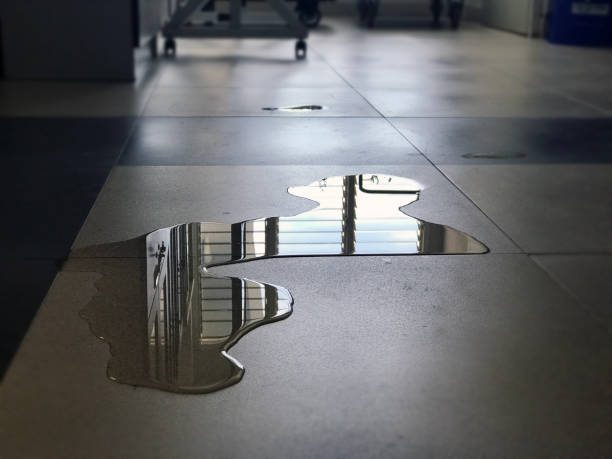 Best Water damage contractors near me  in Cherry Valley, IL