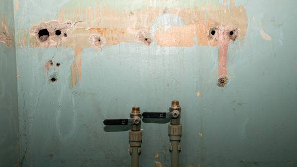 Best Water damage repair service  in Cherry Valley, IL