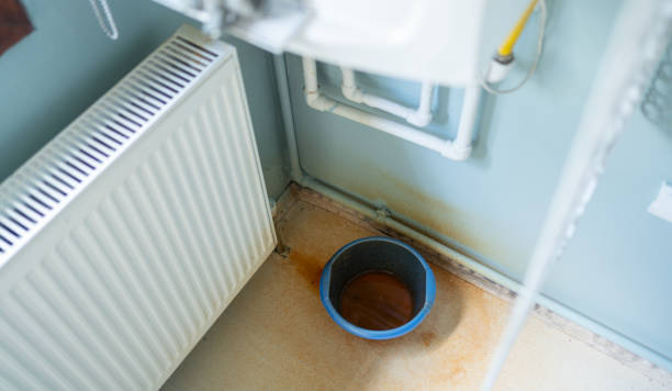 Best Mold removal after water damage  in Cherry Valley, IL
