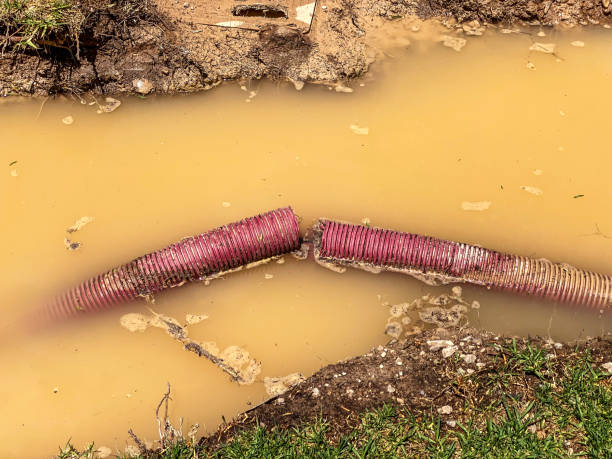 Best Water damage restoration near me  in Cherry Valley, IL