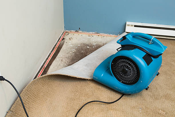 Water damage restoration mold remediation in Cherry Valley, IL